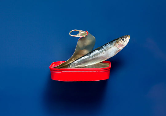 Création culinaire, sardine sortant de sa boite, Photographie culinaire Pauline Daniel pour Bouches du Rhone tourisme, stylisme culinaire Pauline Daniel