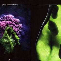 magazine-trois-etoiles-pauline-daniel-photographie-choux-violet